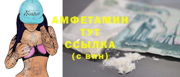 индика Бородино